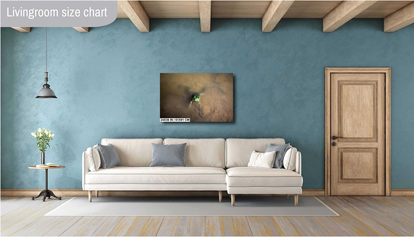 Have you ever felt like you are being watched? The frog at Little Pond. color poster canvas print metal print hudson valley photography