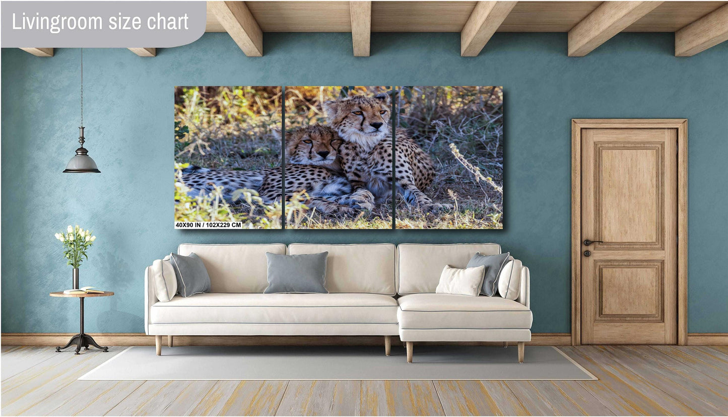 Cheetahs relaxing from the heat in Amboselli Africa Kenya national park canvas print metal print wall art