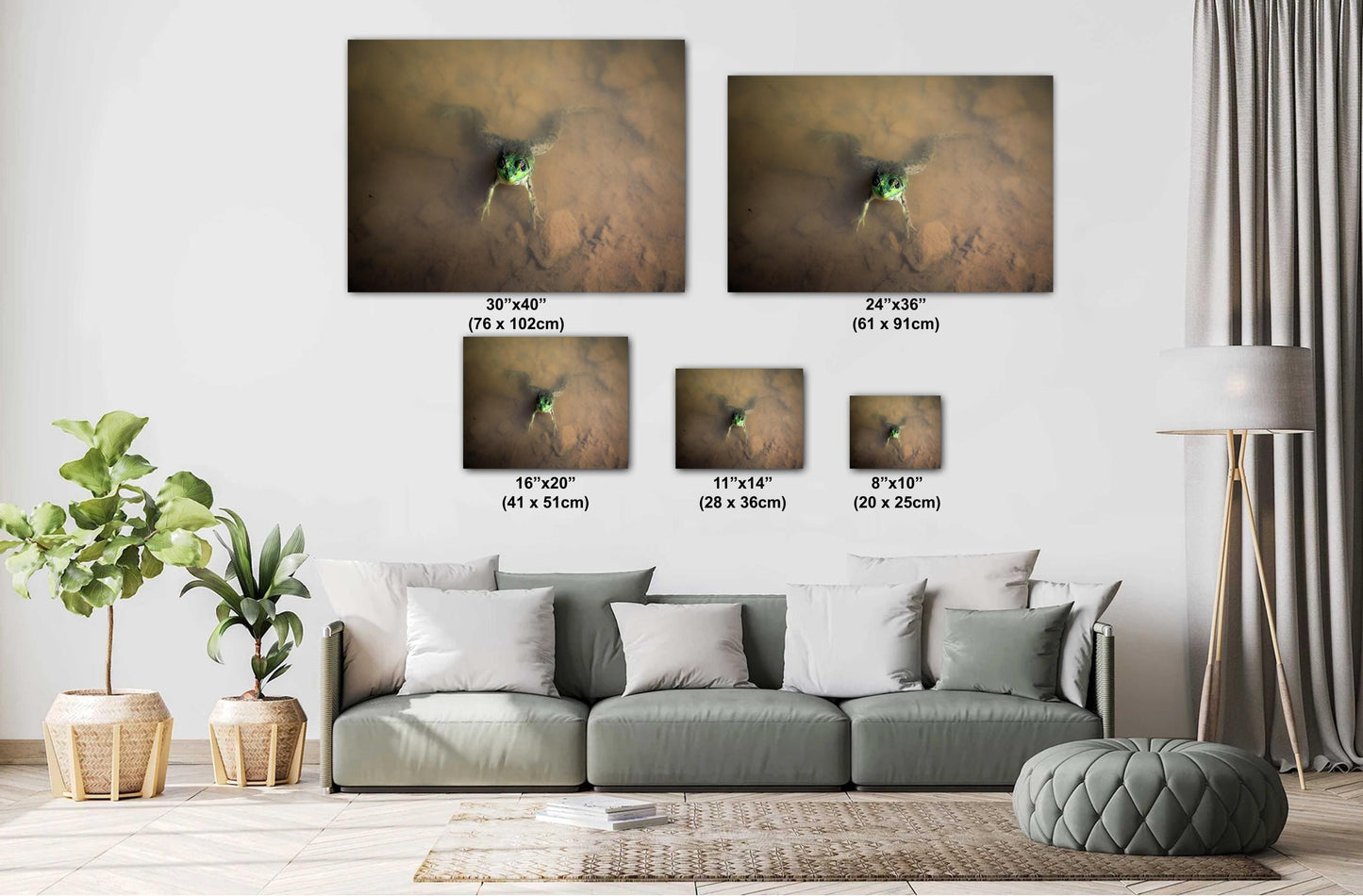 Have you ever felt like you are being watched? The frog at Little Pond. color poster canvas print metal print hudson valley photography