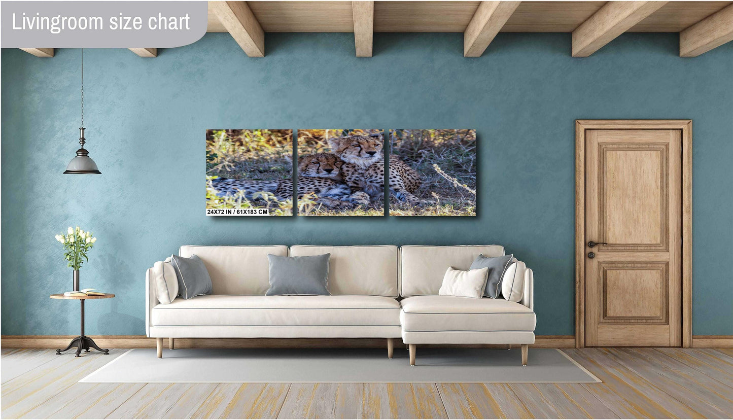 Cheetahs relaxing from the heat in Amboselli Africa Kenya national park canvas print metal print wall art