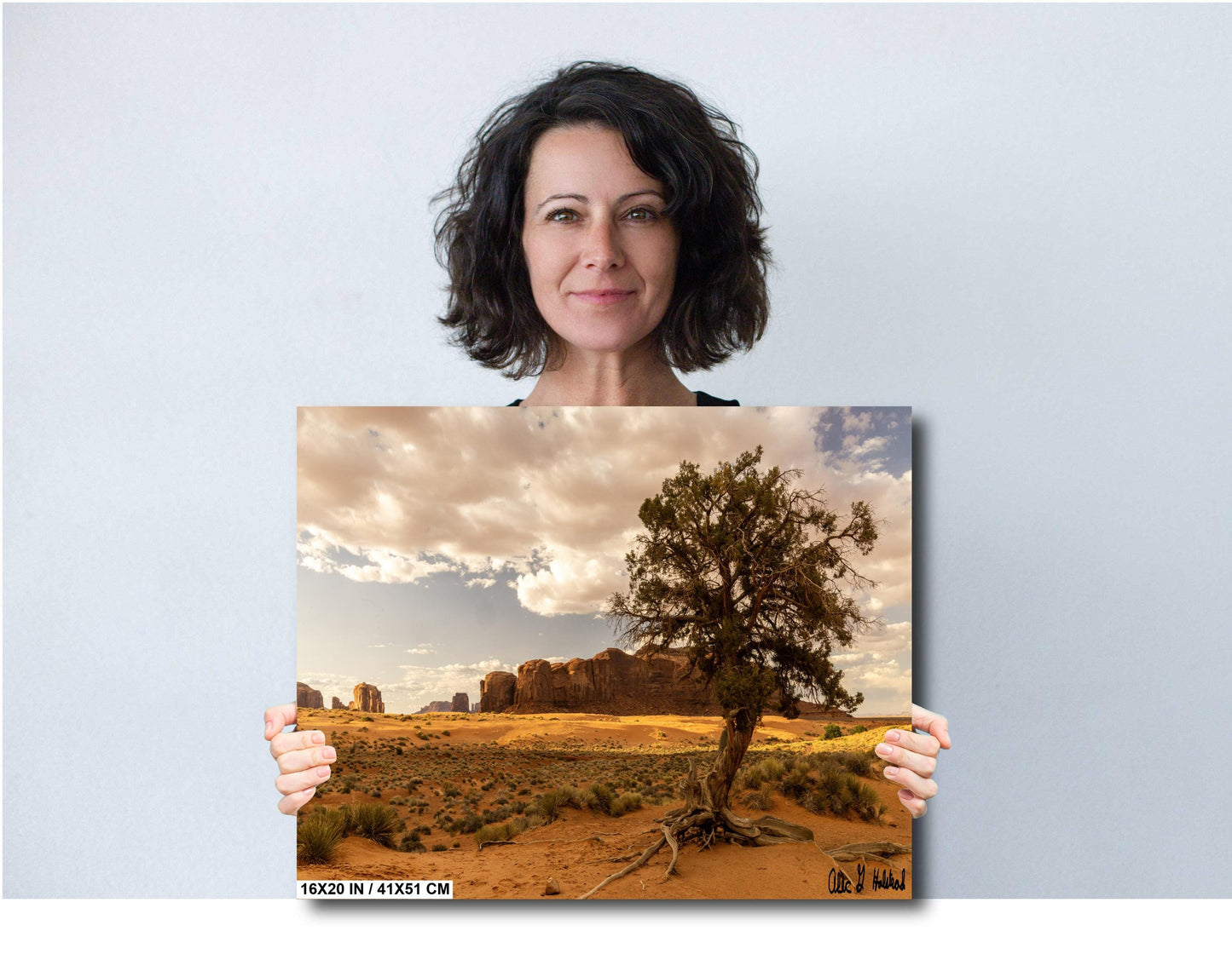 Desert tree amongst the buttes Monument Valley wall art canvas acrylic and metal prints