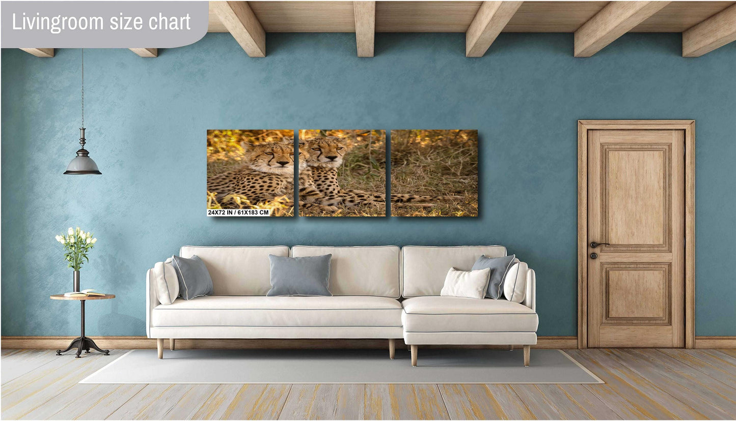 The stare of the Cheetah Cheetah Wall Art Print - Luxury Cheetah Print, Wall Art, Cheetah Print, Maximalist Decor, Masai , Kenya , Safari