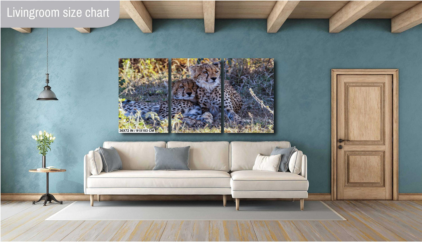 Cheetahs relaxing from the heat in Amboselli Africa Kenya national park canvas print metal print wall art