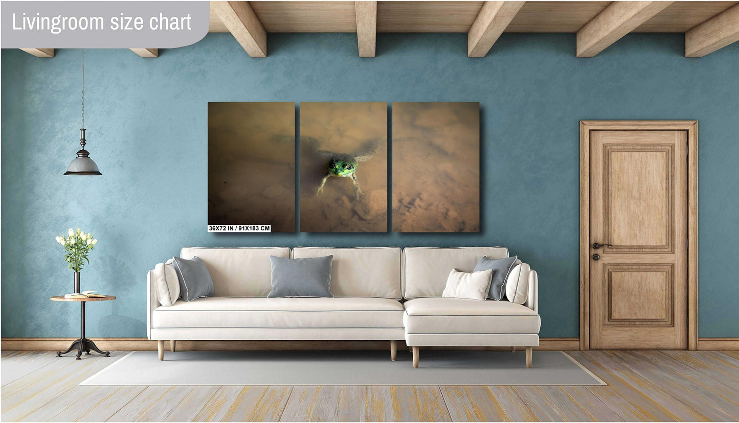 Have you ever felt like you are being watched? The frog at Little Pond. color poster canvas print metal print hudson valley photography