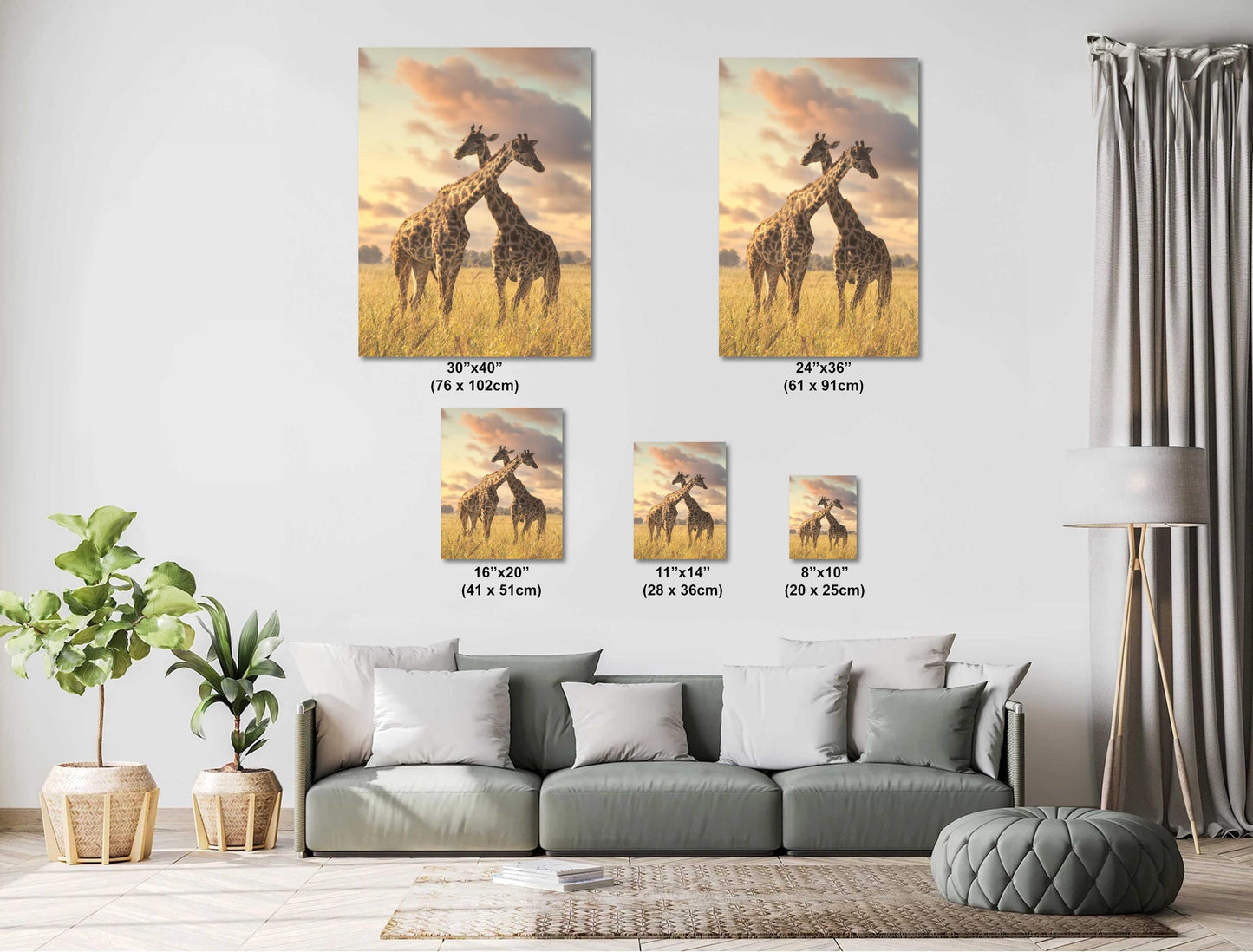 Hugging giraffe's at sunset Amboselli Park Kenya Africa bright color poster canvas print metal print Safari nature photography