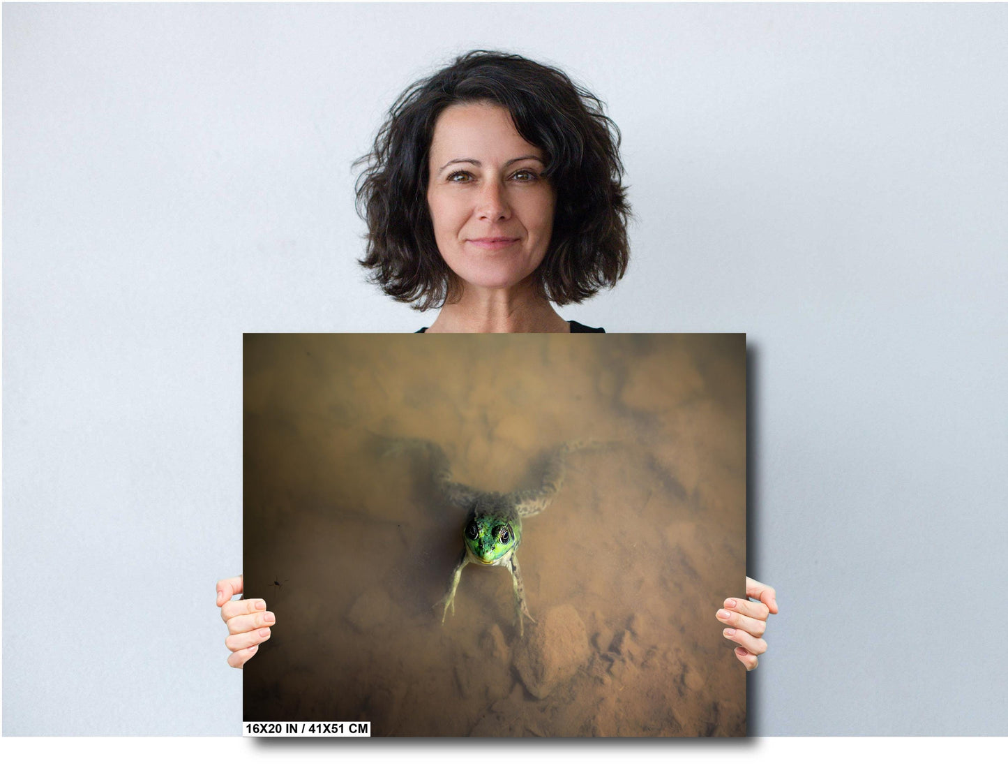 Have you ever felt like you are being watched? The frog at Little Pond. color poster canvas print metal print hudson valley photography