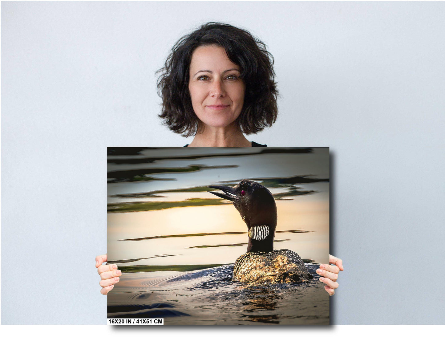 Loon on Orange lake at sunset. Color Hudson Valley metal print canvas print acrylic print wall art for nature and wildlife lovers