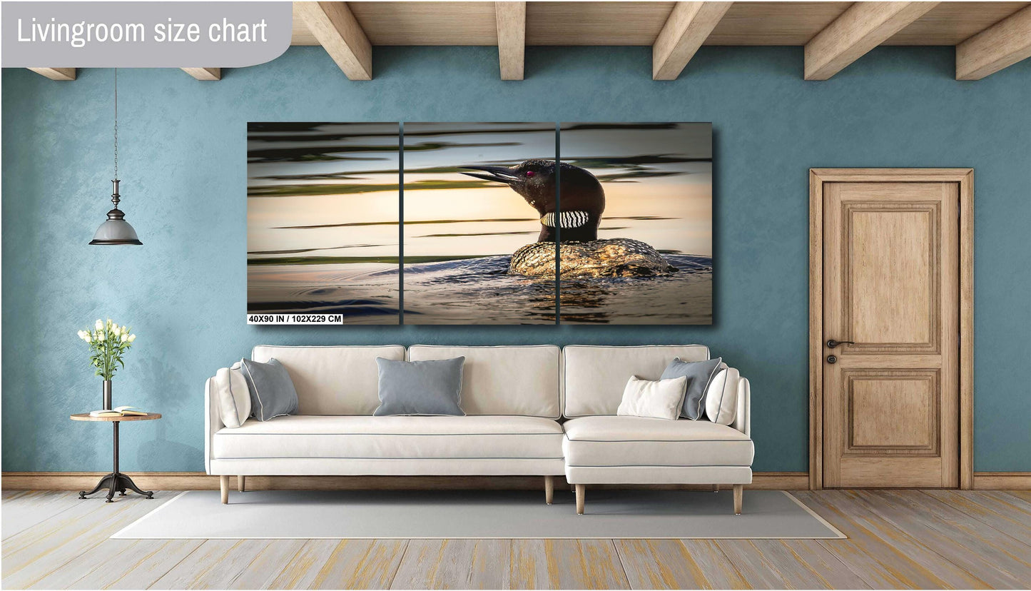Loon on Orange lake at sunset. Color Hudson Valley metal print canvas print acrylic print wall art for nature and wildlife lovers