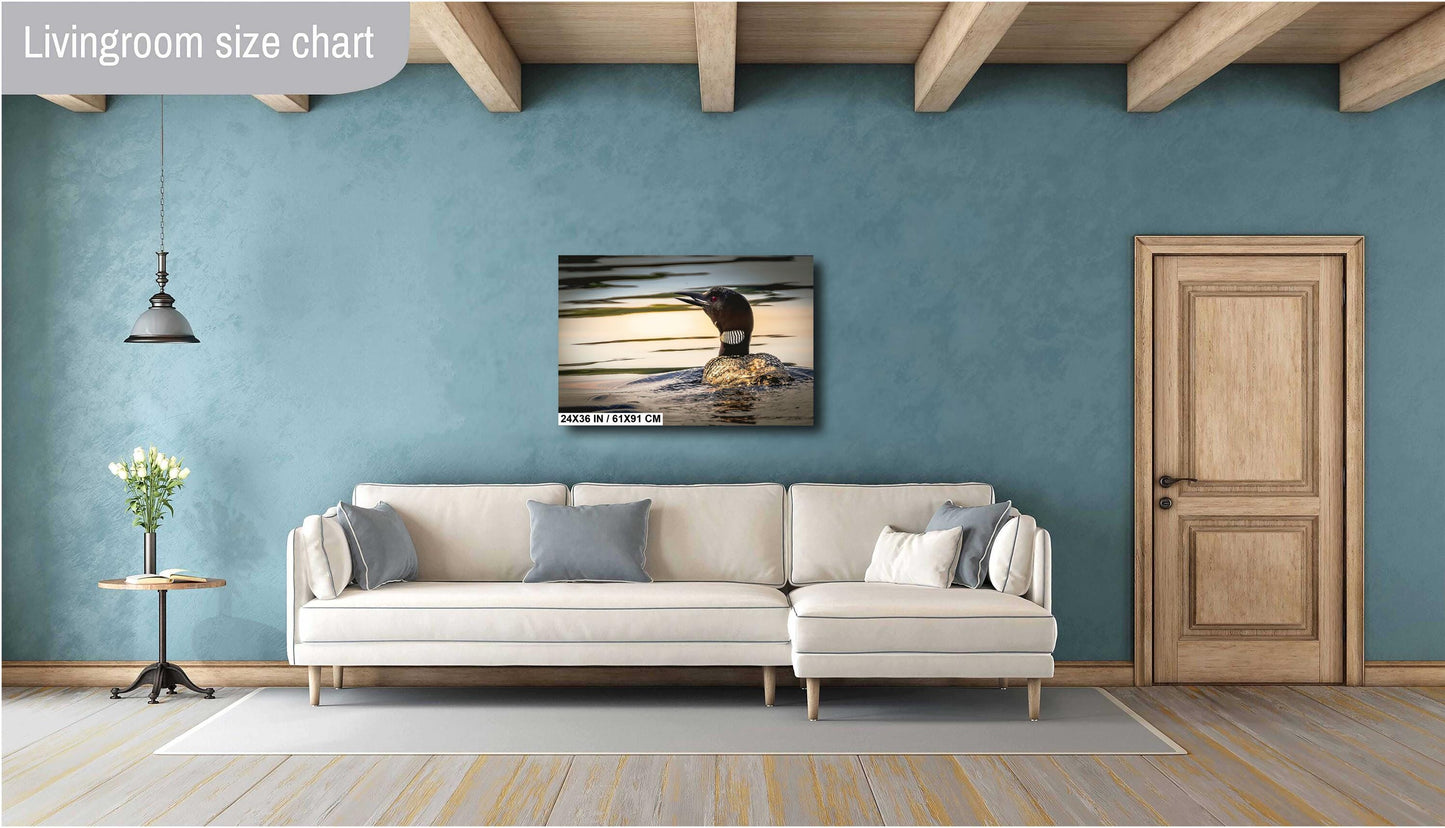 Loon on Orange lake at sunset. Color Hudson Valley metal print canvas print acrylic print wall art for nature and wildlife lovers