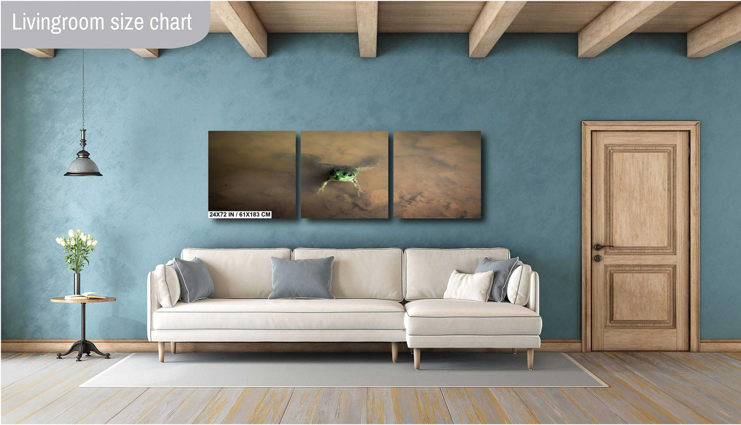 Have you ever felt like you are being watched? The frog at Little Pond. color poster canvas print metal print hudson valley photography