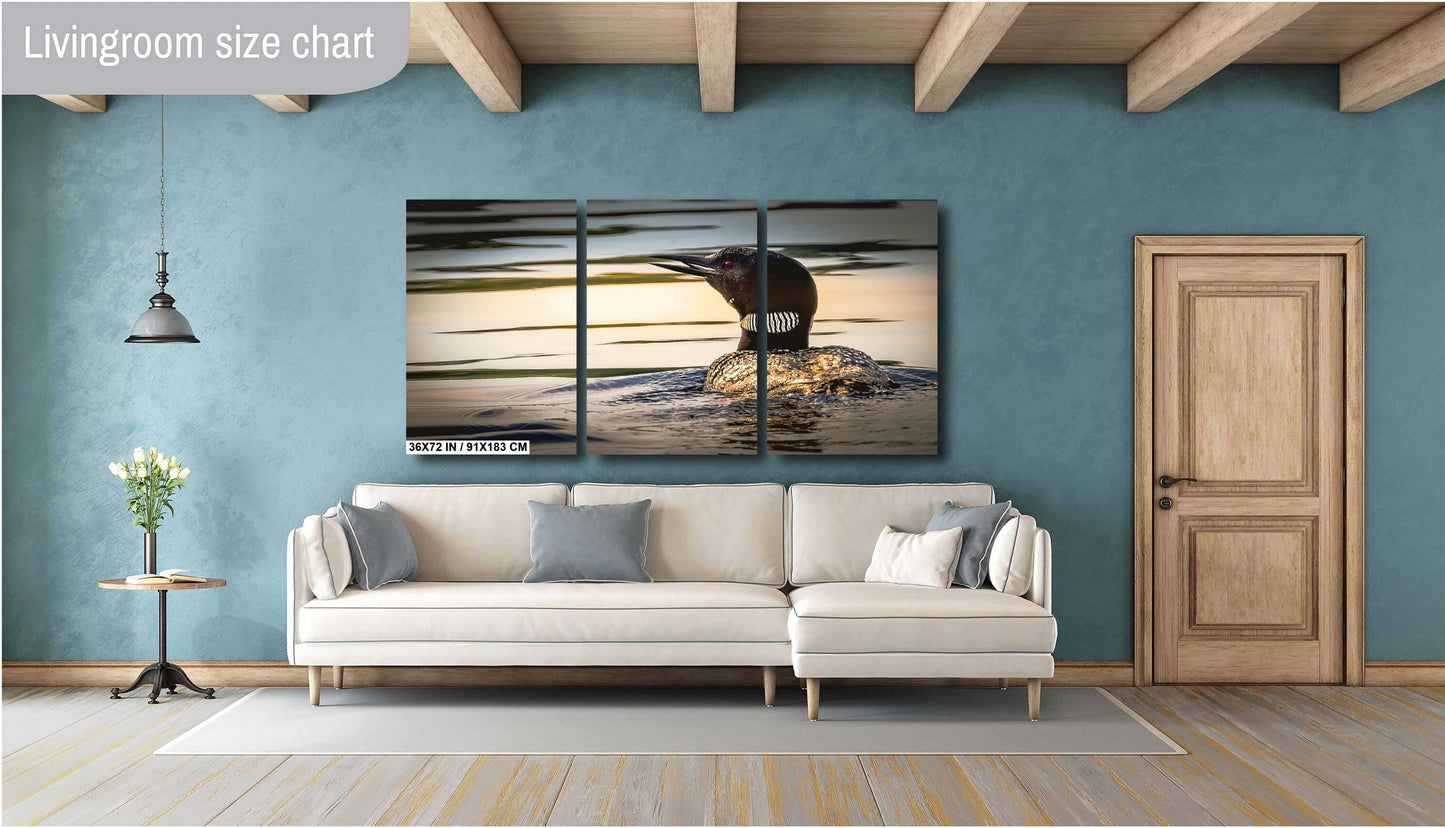 Loon on Orange lake at sunset. Color Hudson Valley metal print canvas print acrylic print wall art for nature and wildlife lovers