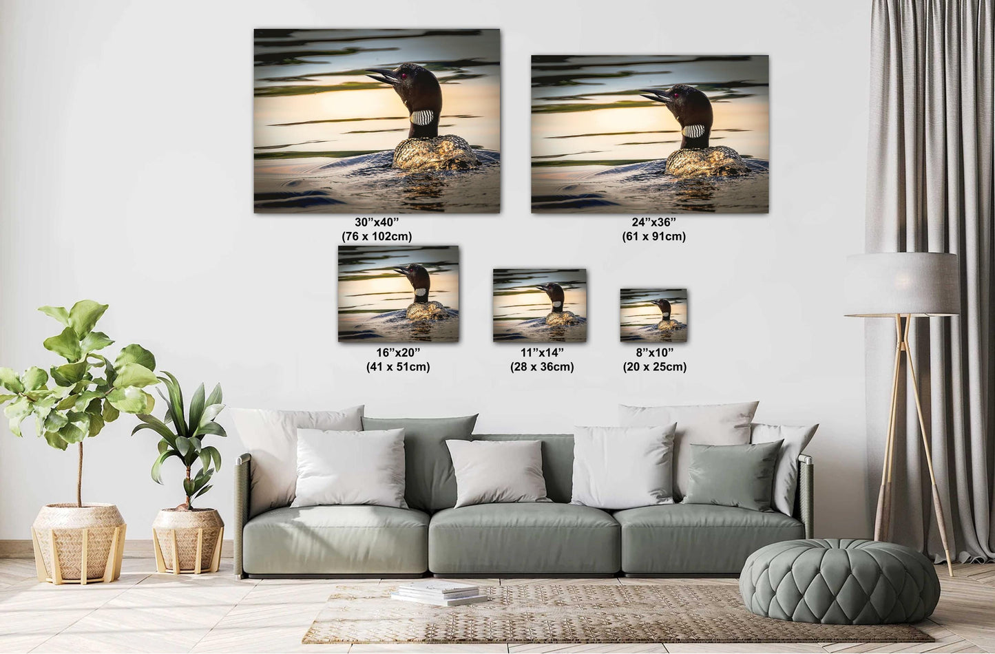 Loon on Orange lake at sunset. Color Hudson Valley metal print canvas print acrylic print wall art for nature and wildlife lovers