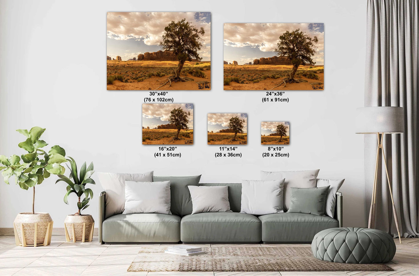 Desert tree amongst the buttes Monument Valley wall art canvas acrylic and metal prints