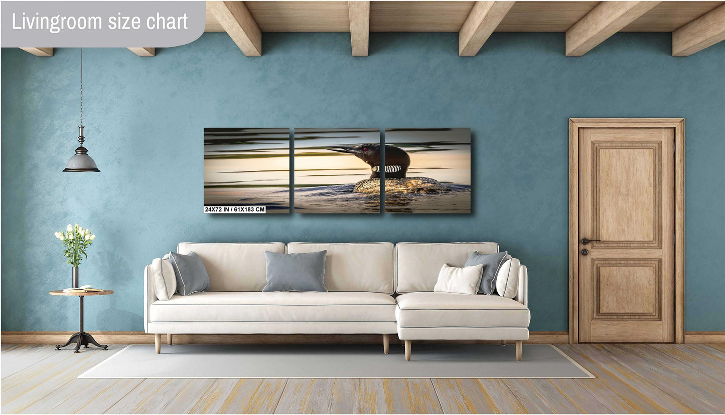 Loon on Orange lake at sunset. Color Hudson Valley metal print canvas print acrylic print wall art for nature and wildlife lovers