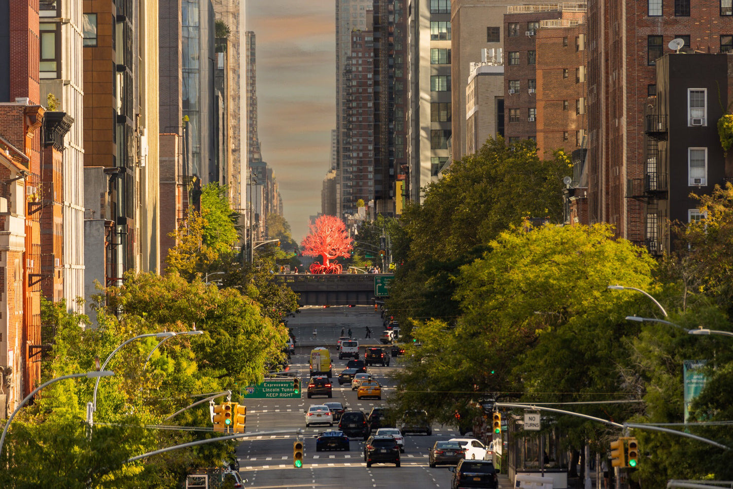 A Red Tree on 10th Ave. Only in NYC! walking the highline metal print canvas print color photography night poster