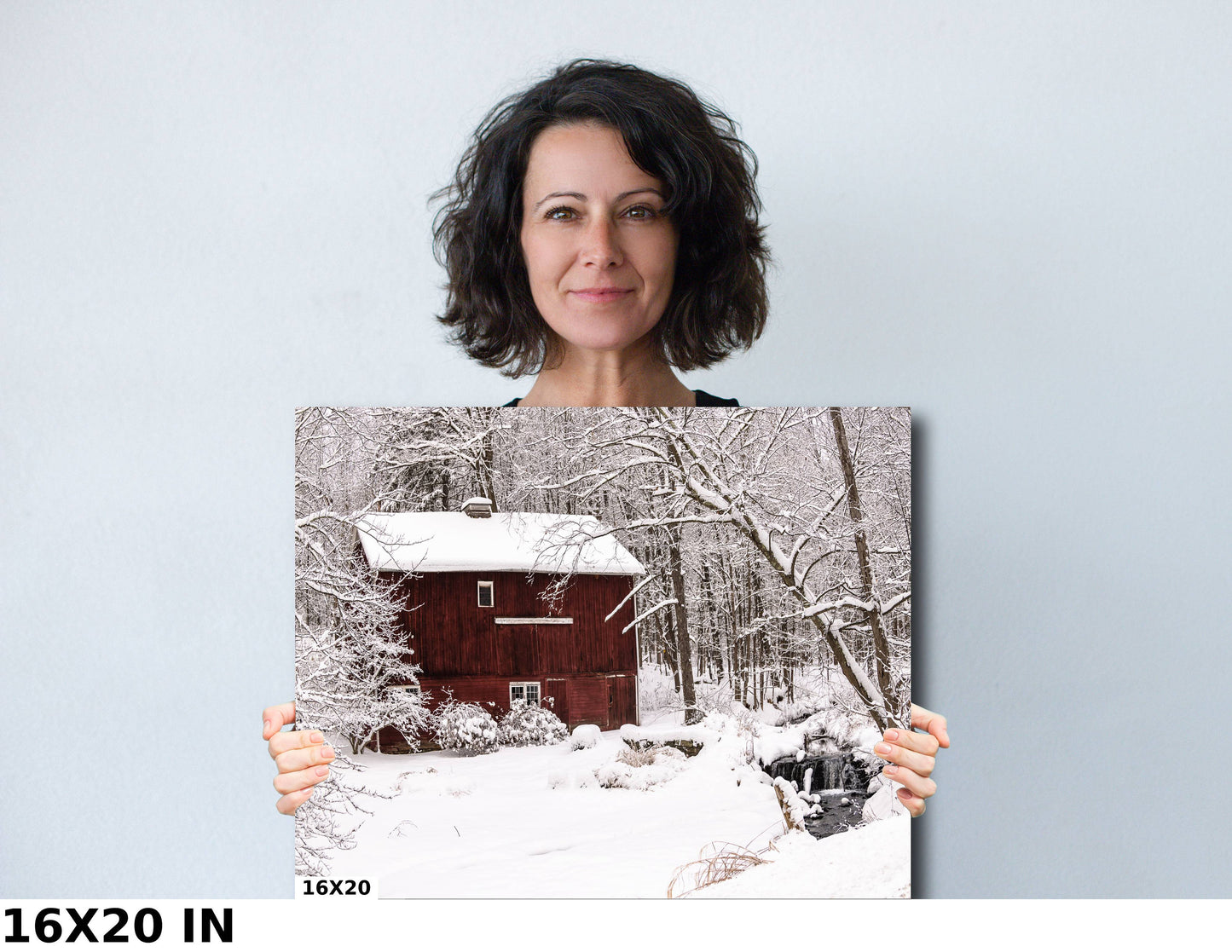 Snow on an old barn in woods Dutchess county NY cannvas print metal print country wall art