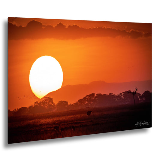 Amboseli Park, Sunset Photography Print, Safari Landscape, Kenya Wildlife, Acacia Silhouette, Canvas Metal Acrylic