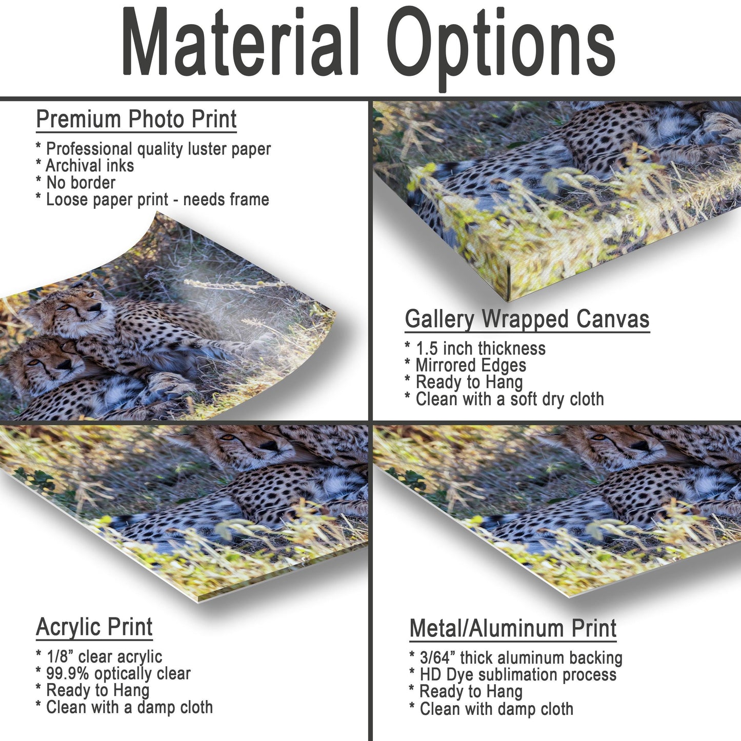 Cheetah Safari Canvas Print - Amboseli National Park Wildlife Art | Ready to Hang