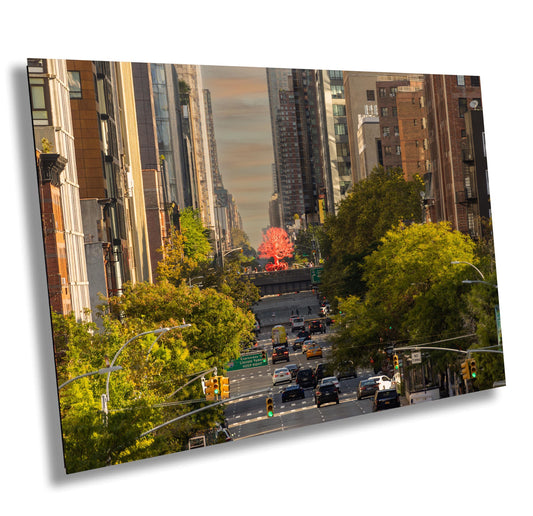 NYC Metal Print – High Line Photo With Red Tree Urban Landscape Wall Art
