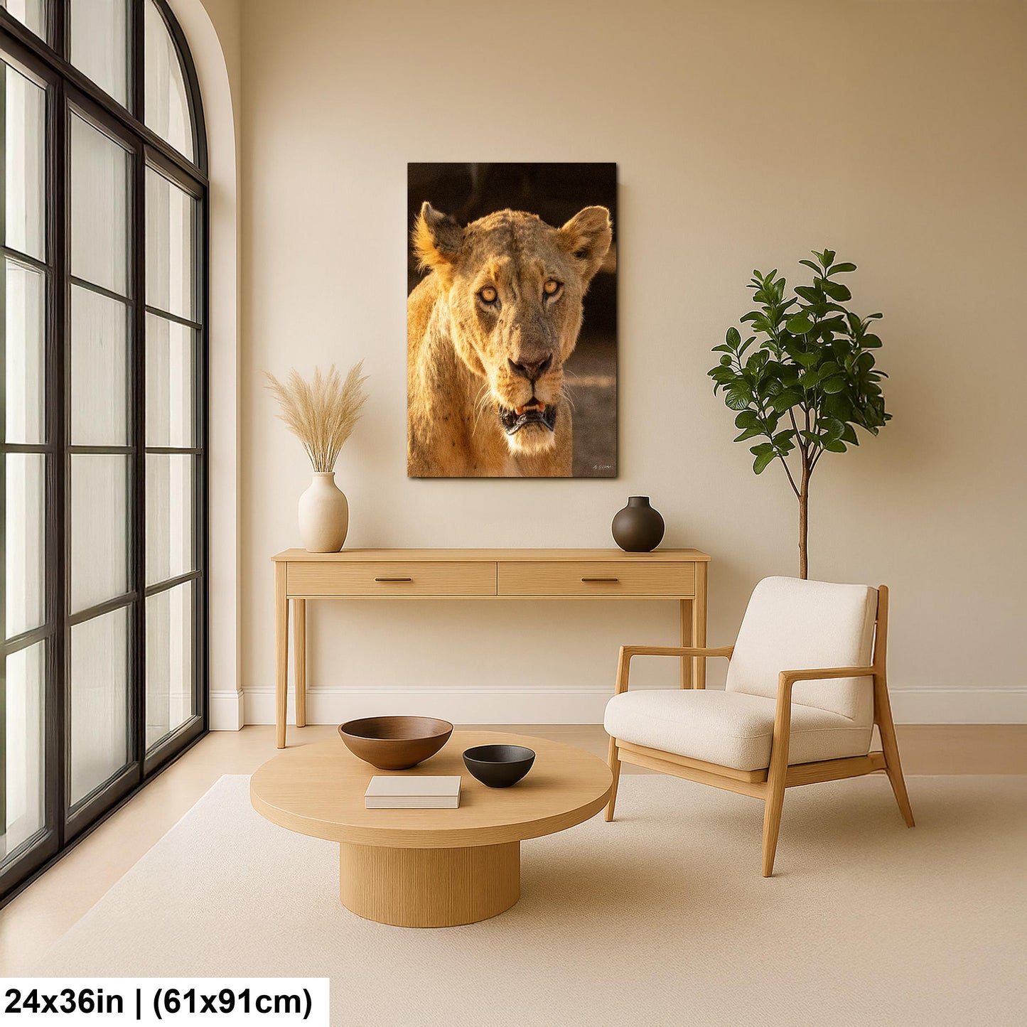 Lioness Safari Art, Scarred Big Cat Portrait - Nairobi Park Photograph, Fine Prints, Metal Canvas Acrylic