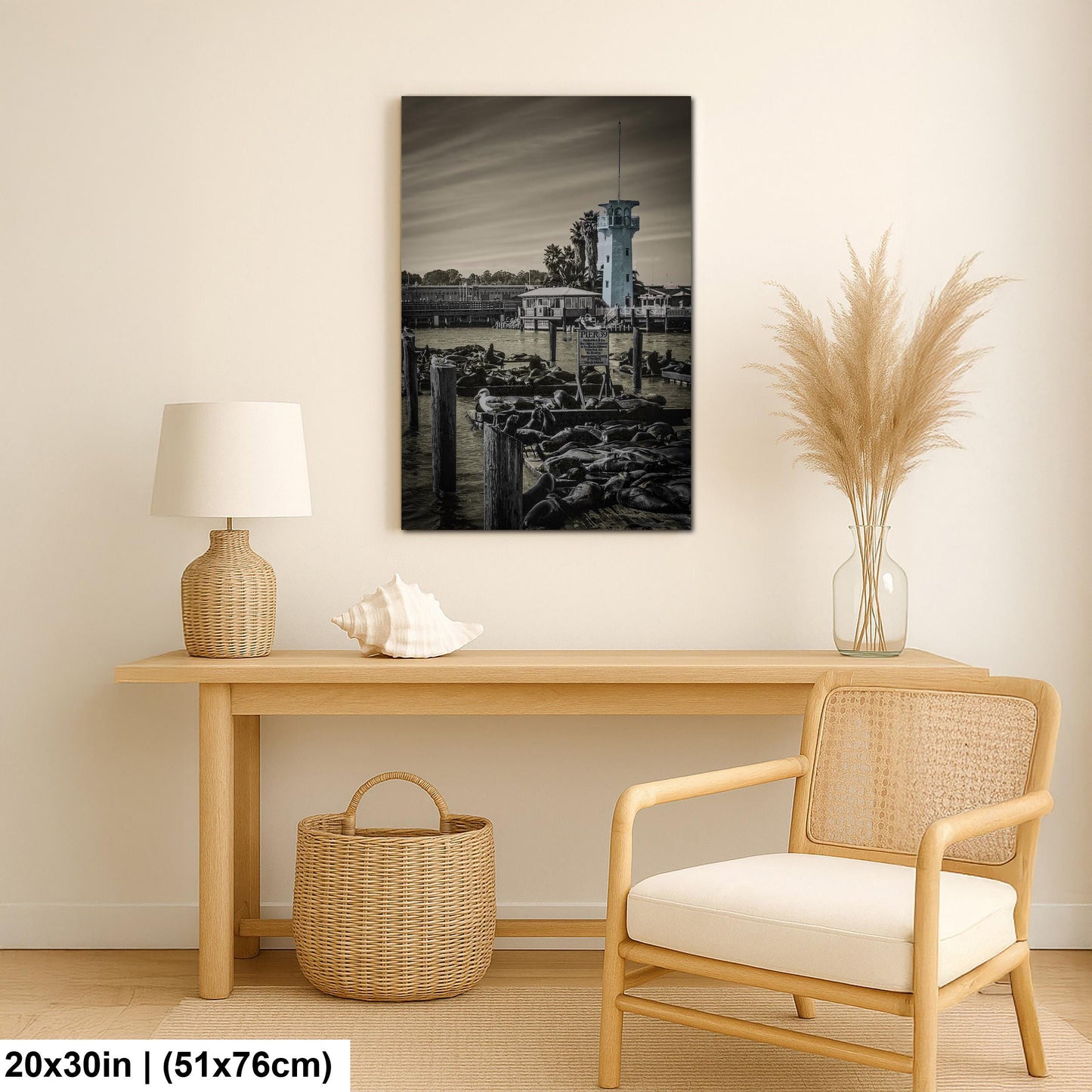 Pier 39 Sea Lions – San Francisco Bay Coastal Wildlife Glossy Photo Print