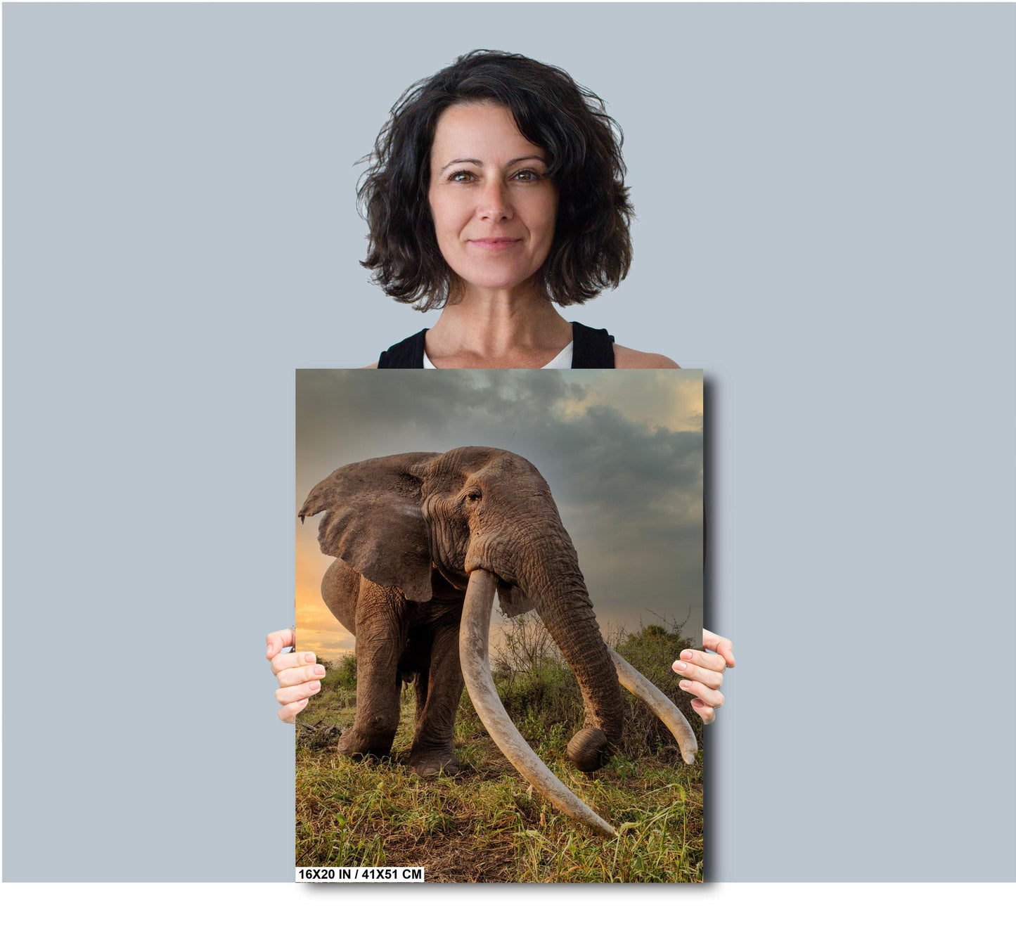Elephant Canvas Print – Big Tusker Elephant Portrait | Amboseli Park Wildlife Wall Art
