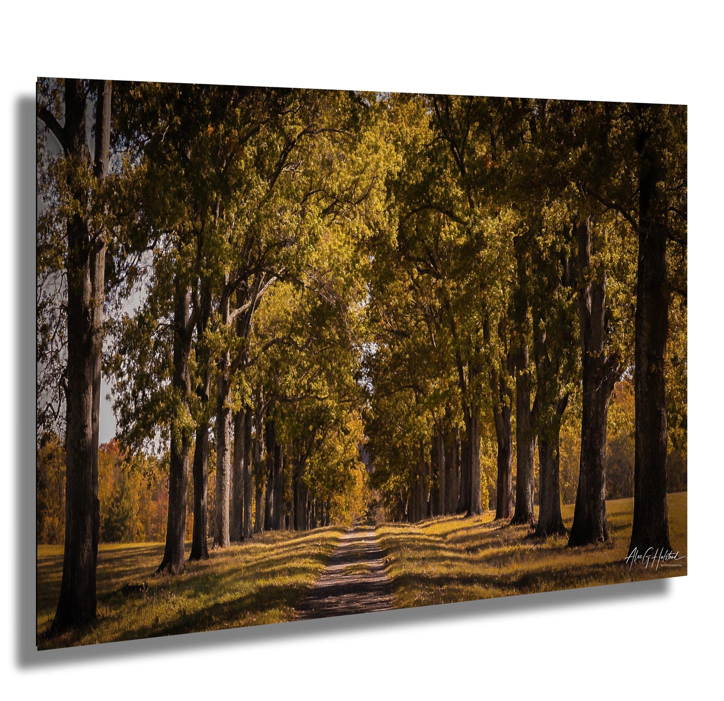 New Paltz Photography Print – Hudson Valley Wall Art | Sunlit Country Scene Canvas