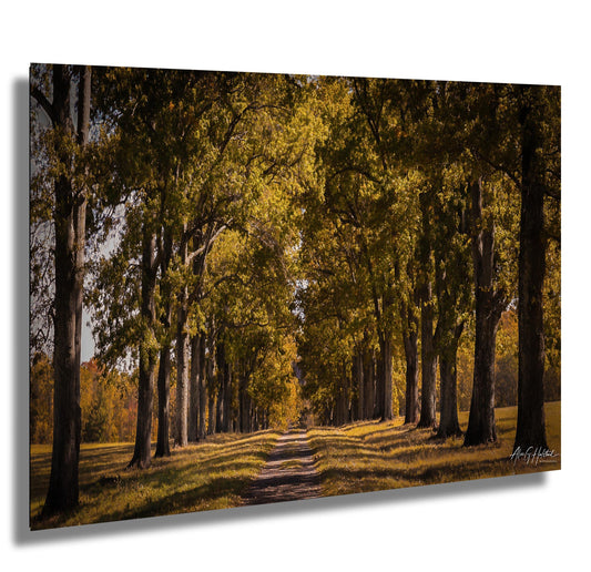 New Paltz Photography Print – Hudson Valley Wall Art | Sunlit Country Scene Canvas