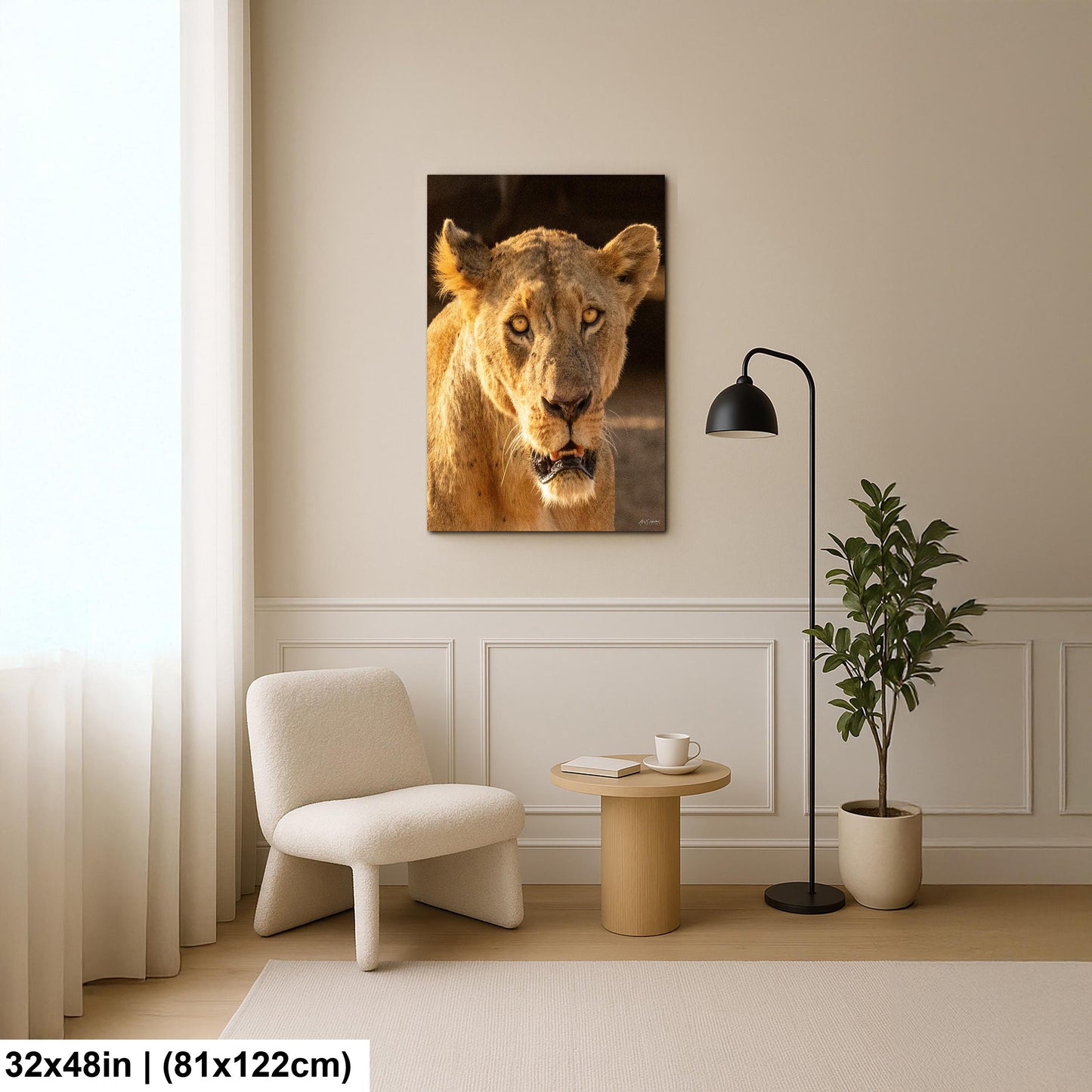Lioness Safari Art, Scarred Big Cat Portrait - Nairobi Park Photograph, Fine Prints, Metal Canvas Acrylic