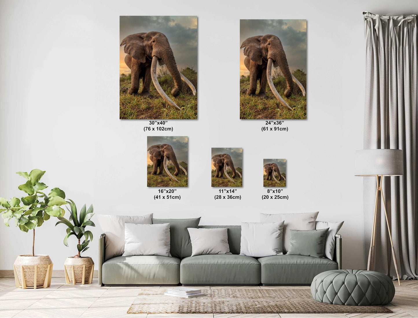 Elephant Canvas Print – Big Tusker Elephant Portrait | Amboseli Park Wildlife Wall Art