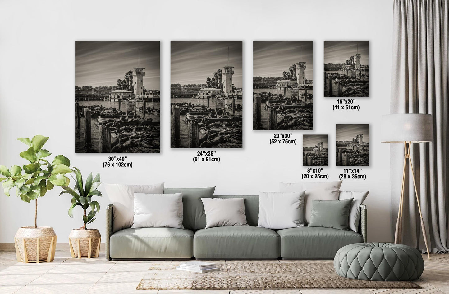 Pier 39 Sea Lions - Historic Pier 39 Coastal Wildlife Photo Print