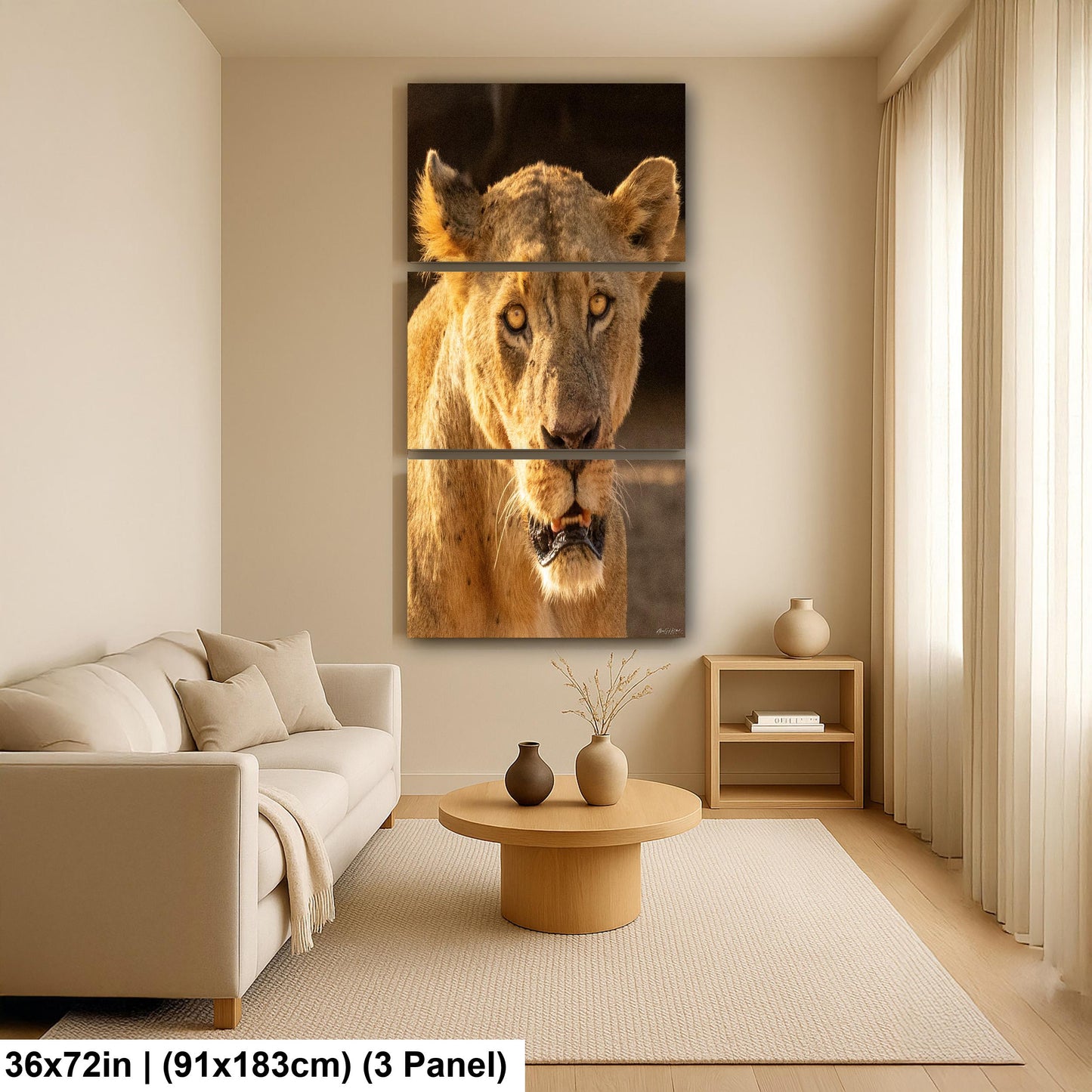 Lioness Safari Art, Scarred Big Cat Portrait - Nairobi Park Photograph, Fine Prints, Metal Canvas Acrylic