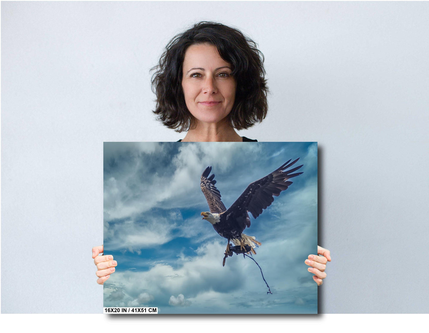 Bald Eagle Canvas Print - Wildlife Wall Decor | Hudson Valley Art Acrylic Photo Print