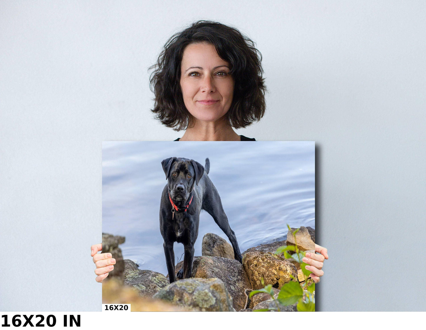 Modern Dog Wall Art - Black Lab River Scene | Acrylic Pet Canvas Print