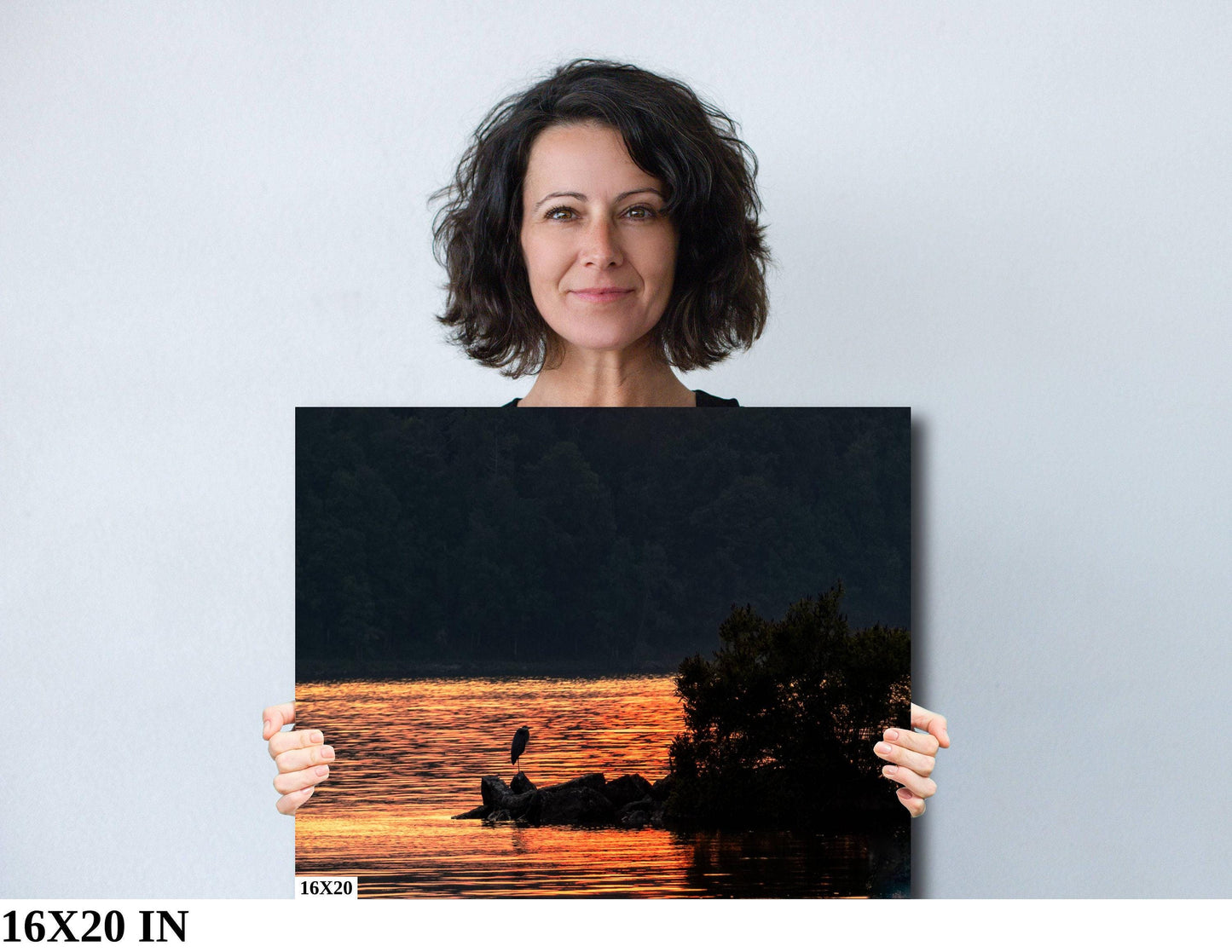 Blue Heron Canvas Print - Vibrant Wildlife Wall Art | Hudson River Art Sunset