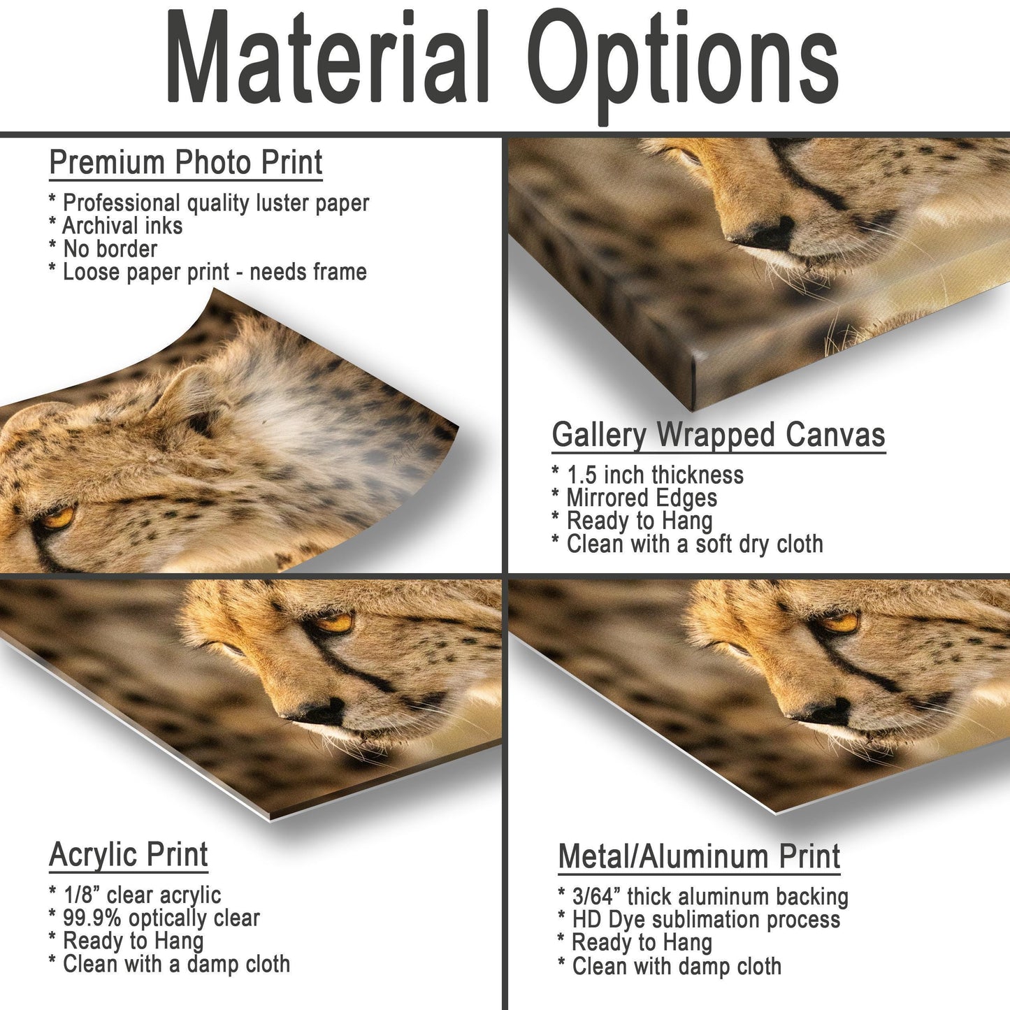 Cheetah Print – African Wildlife Art | Masai Mara Wall Decor Featuring Tear Marks