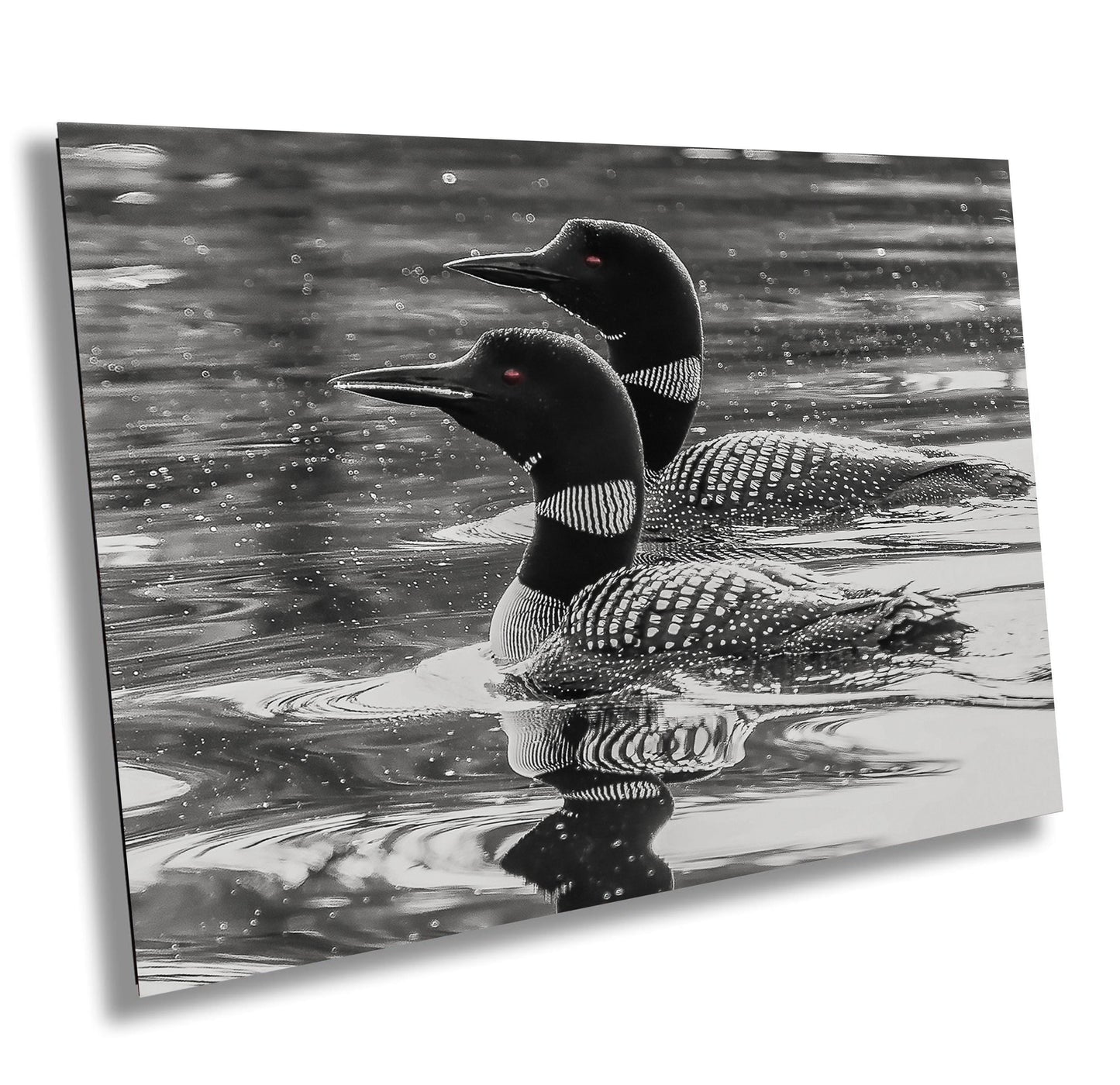 Loons on Lake Print - Wildlife Wall Art | Hudson Valley Decor Canvas & Metal