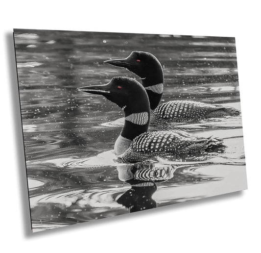 Loons on Lake Print - Wildlife Wall Art | Hudson Valley Decor Canvas & Metal