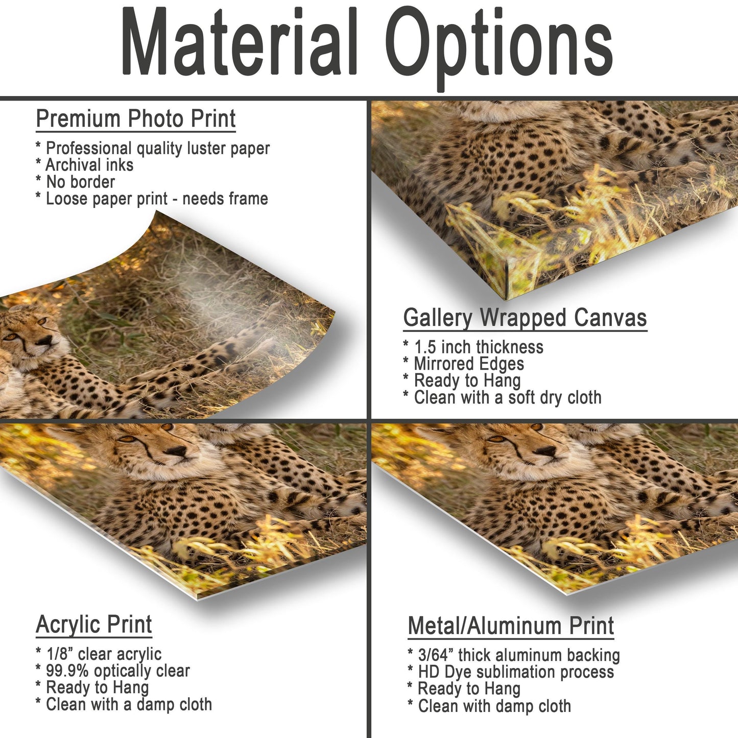 Kenya Safari Art Print – Cheetah Canvas Print | Luxury Wildlife Decor