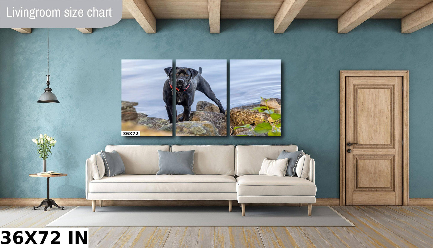Modern Dog Wall Art - Black Lab River Scene | Acrylic Pet Canvas Print