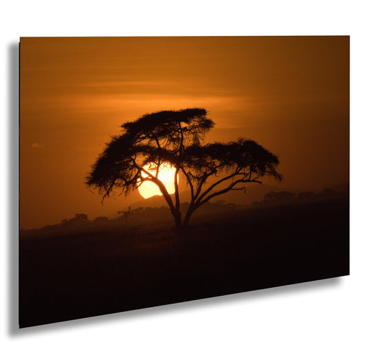 Amboseli Sunset Canvas Print – Kenya National Park Wildlife Photography Art