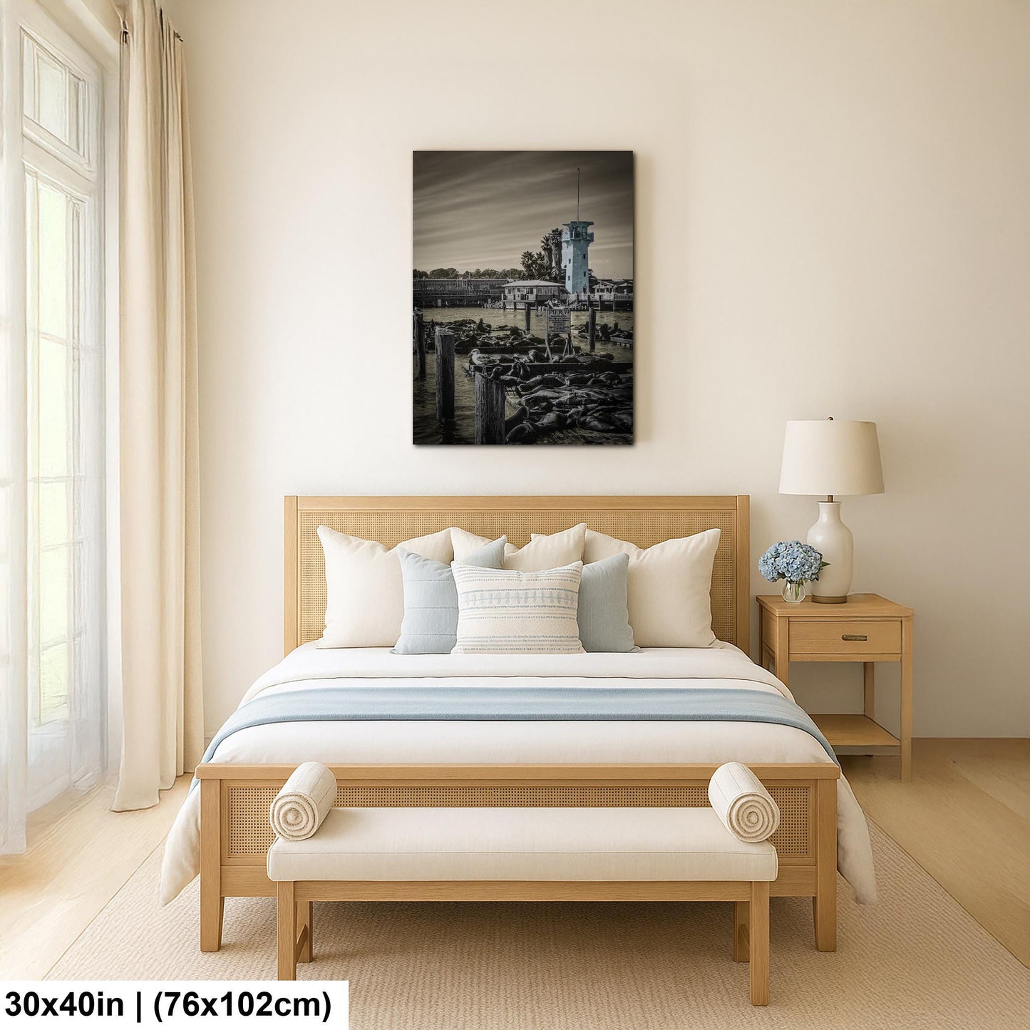 Pier 39 Sea Lions – San Francisco Bay Coastal Wildlife Glossy Photo Print