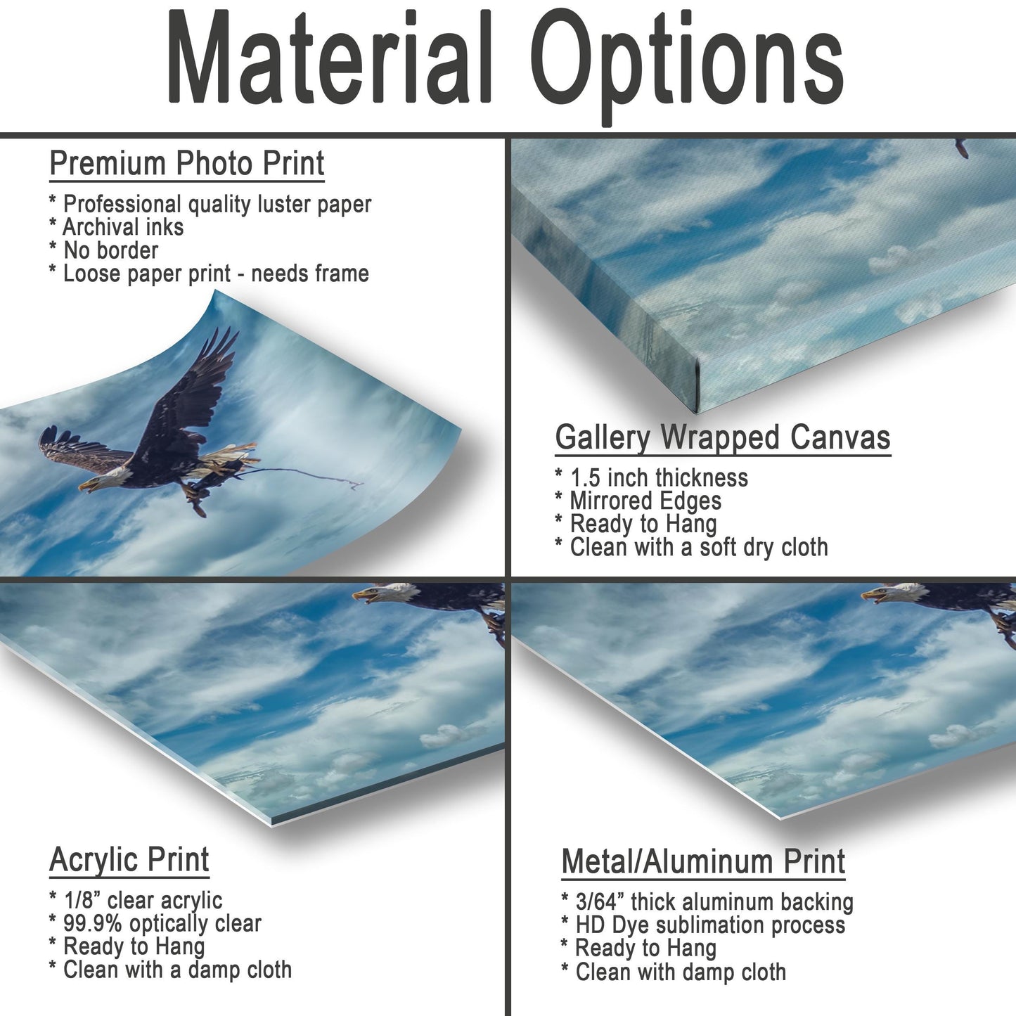 Bald Eagle Canvas Print - Wildlife Wall Decor | Hudson Valley Art Acrylic Photo Print