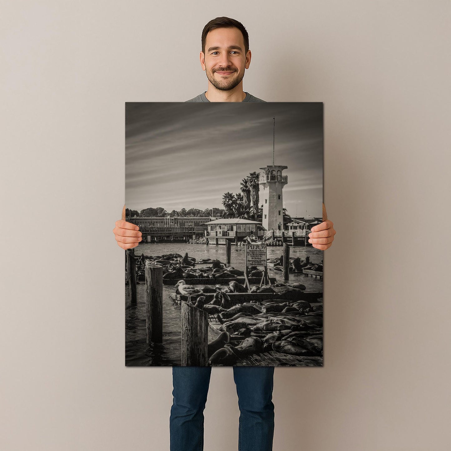 Pier 39 Sea Lions - Historic Pier 39 Coastal Wildlife Photo Print