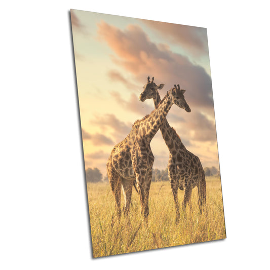Hugging giraffe's at sunset Amboselli Park Kenya Africa bright color poster canvas print metal print Safari nature photography