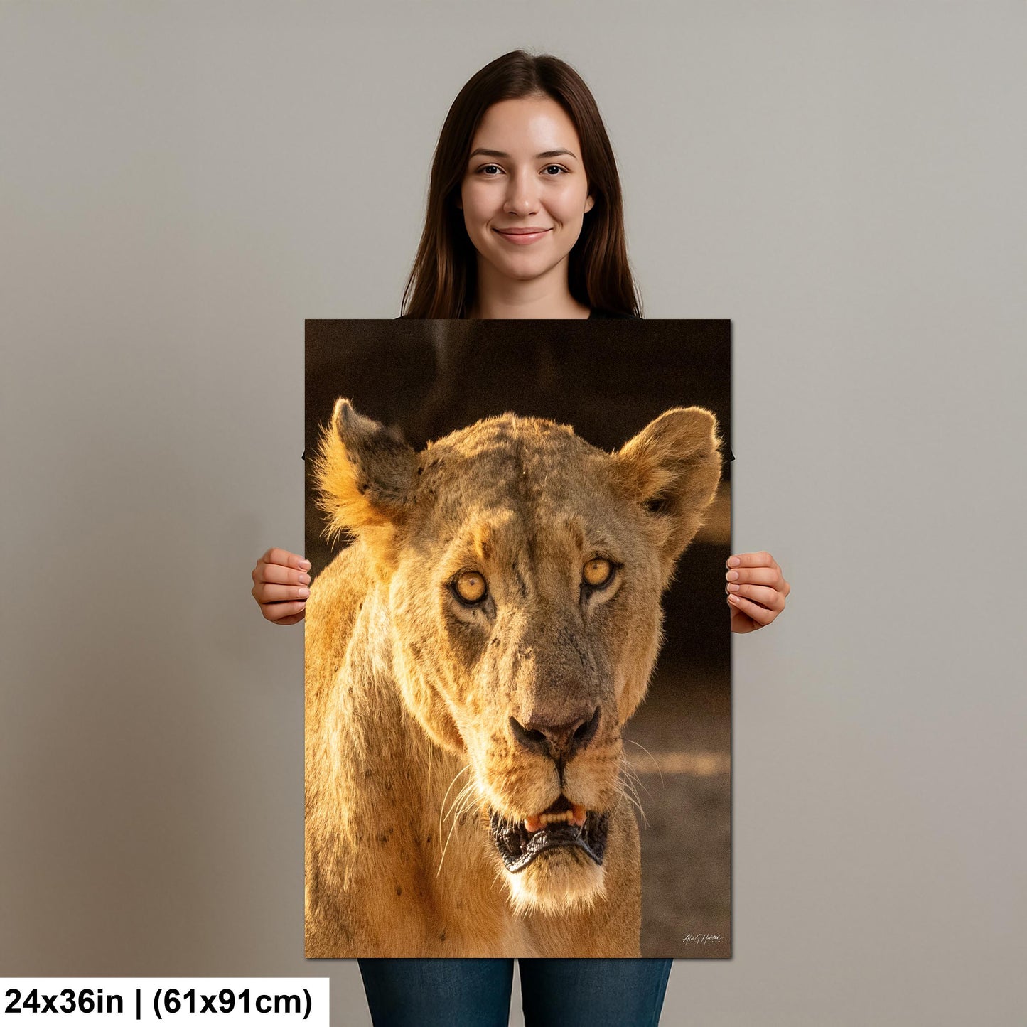 Lioness Safari Art, Scarred Big Cat Portrait - Nairobi Park Photograph, Fine Prints, Metal Canvas Acrylic