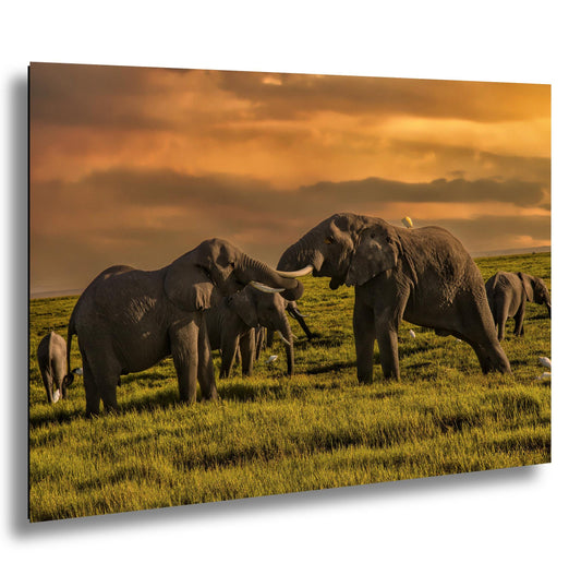 Elephants at Dusk Print - Amboseli Safari Photo | African Wildlife Art Wall Decor