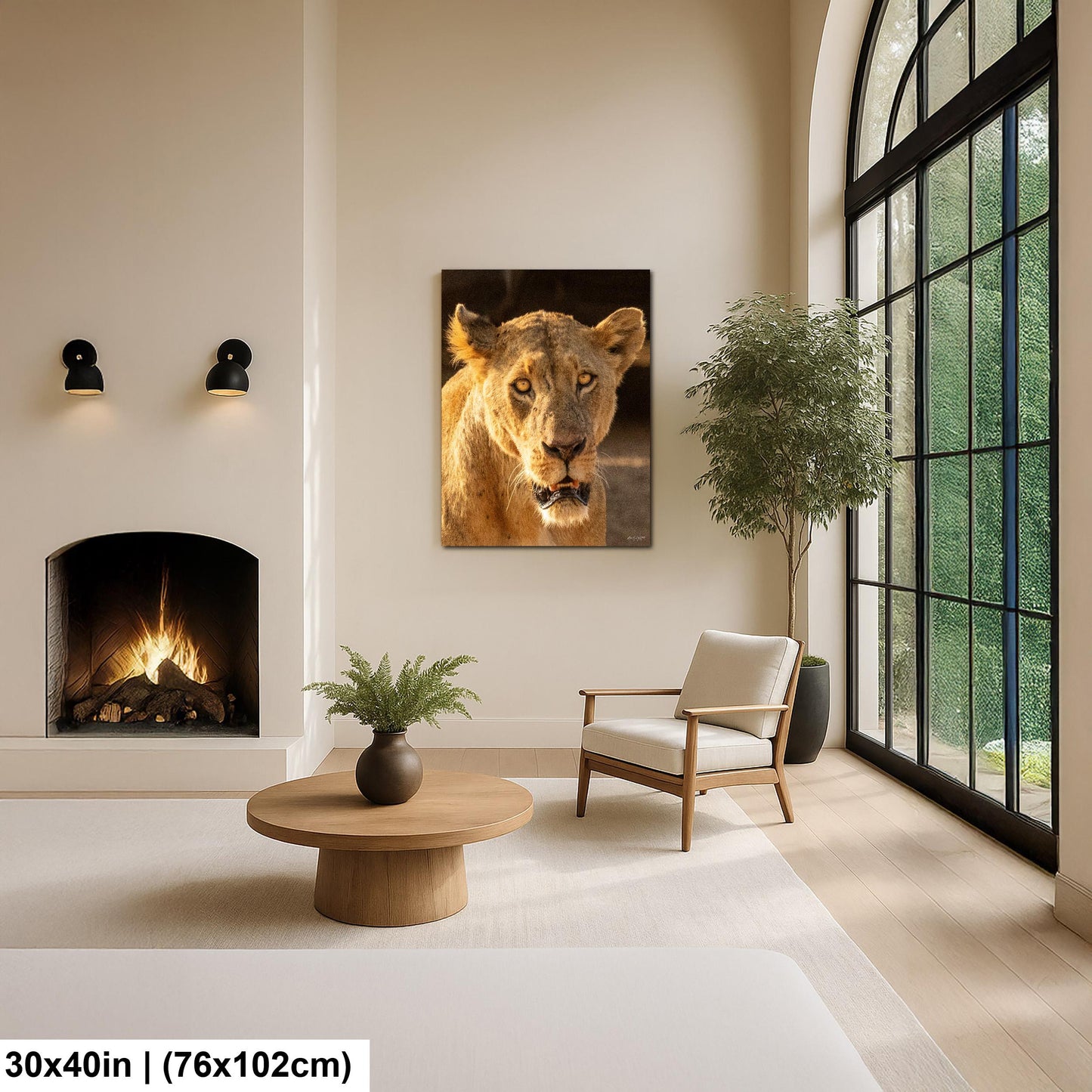 Lioness Safari Art, Scarred Big Cat Portrait - Nairobi Park Photograph, Fine Prints, Metal Canvas Acrylic