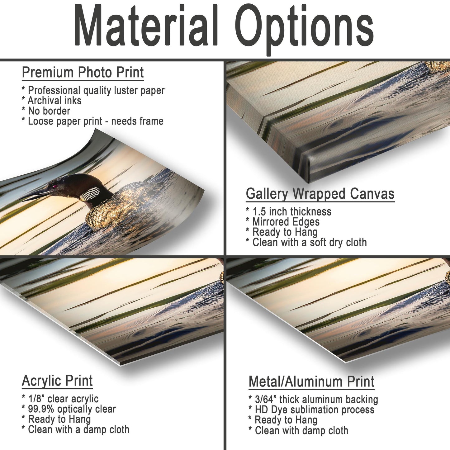 Loon Photograph Hudson Valley - Orange Lake Sunset Wildlife Wall Decor Print