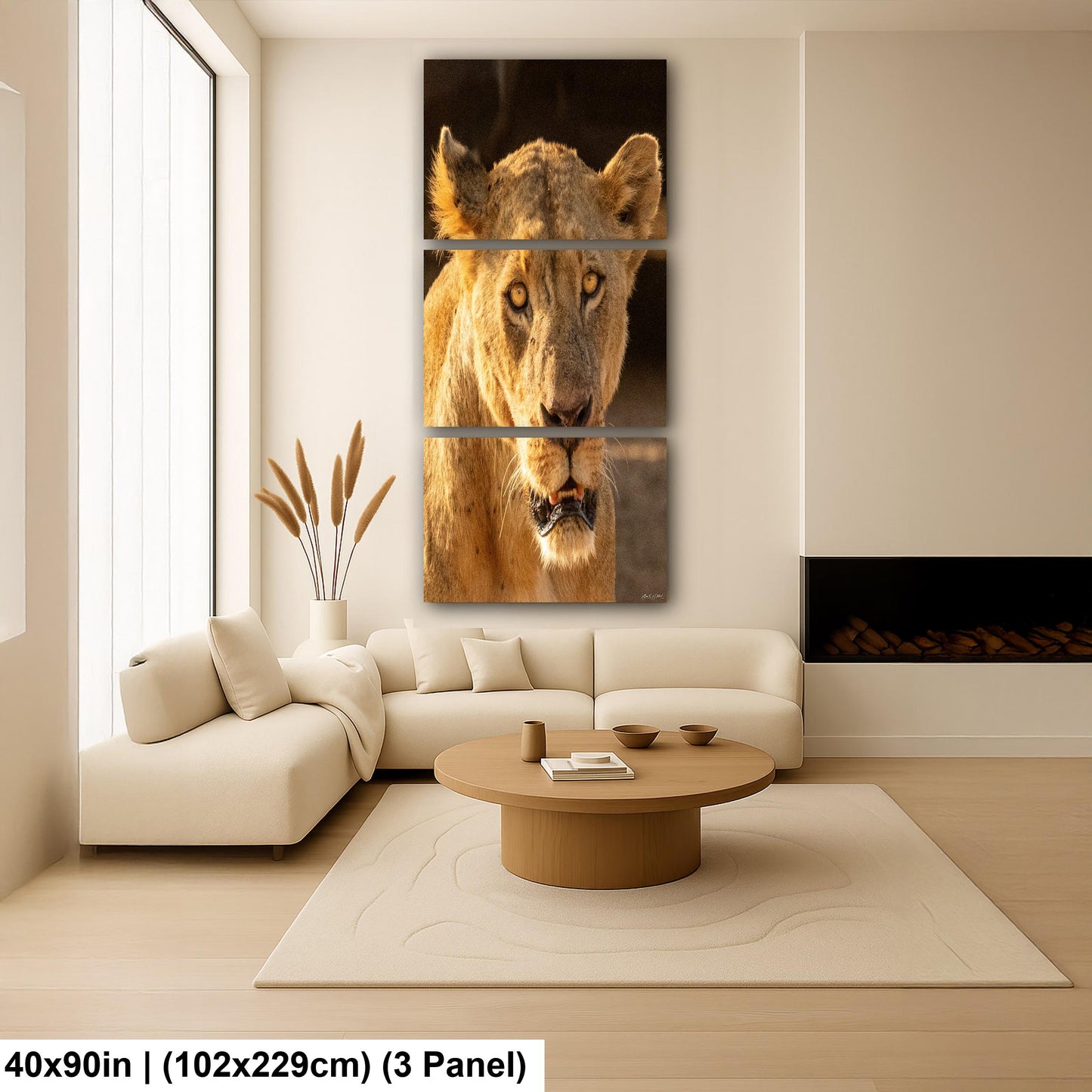 Lioness Safari Art, Scarred Big Cat Portrait - Nairobi Park Photograph, Fine Prints, Metal Canvas Acrylic